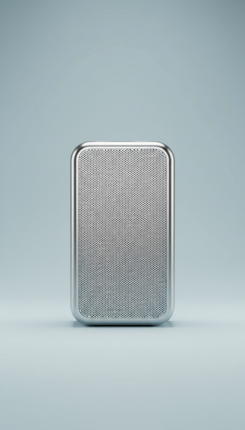 Polished Silver Wireless Speaker